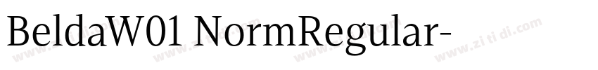 BeldaW01 NormRegular字体转换